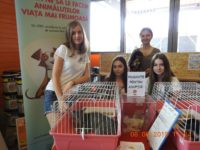 62402654_2788291564576715_7643207810074804224_o