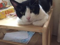 62433235_2847071105365427_8570777075059785728_n