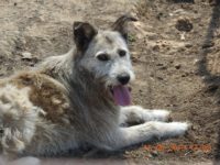 64879431_2810706695668535_5457457927612792832_o