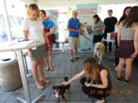 65893572_2840138759391995_377104205967523840_o