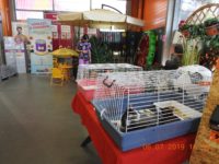 66020348_2860367517369119_1555409469804904448_o