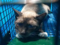 66116502_2862467807159090_6901921966890942464_o