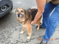 66442660_2857798354292702_3211214899665436672_o