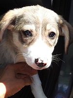 66469974_2878680552204482_6225957104490905600_o