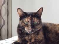 66687762_2890554491017088_8274599656495775744_n