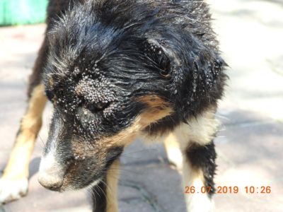 67431528_2911718495567354_6677240970527899648_o