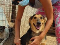 67689011_2938278222911381_7842346249381478400_n