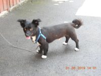 67694139_2931063133632890_10476980013105152_o