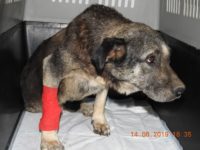 68568613_2963146513757885_7317361474689564672_o