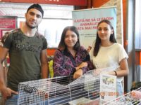 69182631_2969540789785124_2743621277573971968_o