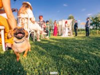 69064869_2996795797059623_3177244439953276928_o