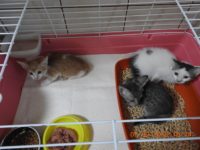 69646526_3021007521305117_8828756239904145408_o