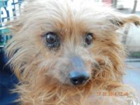 69704776_2368110103258554_6876332397122551808_n