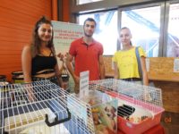 70149955_3009902055748997_8525464663280844800_o