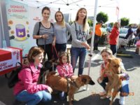 70905319_3073184839420718_8667500722113216512_o