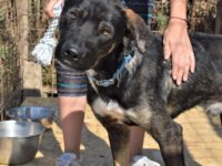 71086640_3040257866046749_9078252930238251008_n