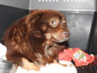 71800040_3118553934883808_103455969635205120_o