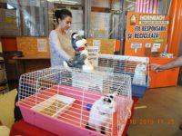 71967303_3124425044296697_4769829037843415040_o