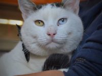 72865980_3139547802784421_1058807320768675840_o