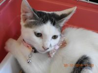 75486025_3213105655428635_3023208182366339072_o