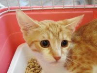 76174833_3209099652495902_3072416378590855168_o