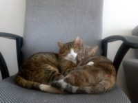 76682995_3219299724809228_4864632319119458304_o