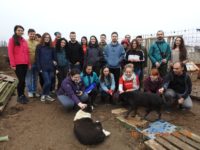 76706721_3248091411930059_3007565207099670528_o