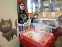 76771507_3209872679085266_6210355463989493760_o