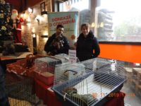 77427170_3276783235727543_8163318870627581952_o