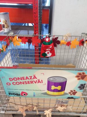 78599516_3293655057373694_1756341225461383168_o