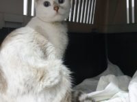 78652315_3284748701597663_4988876819525533696_o