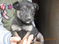 78765105_3294617887277411_5272946523418656768_o