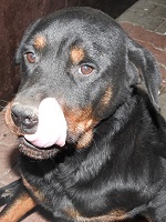 78769808_3321423671263499_7354290956415270912_o