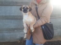 78783720_2583441348417210_5276529784568938496_n