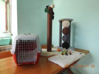 78797523_2564602443609318_331199531083366400_o