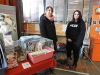 79596443_3327018757370657_3178703637912223744_o