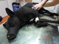 80187520_3345307218875144_6037687389164404736_o