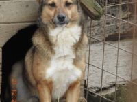 80633102_3360240047381861_1079705545004285952_o