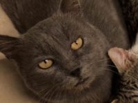 81799856_128344448651348_7286193524087717888_n