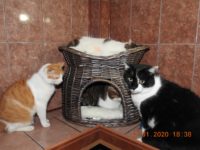 82400537_3442596009146264_7459065605564399616_o