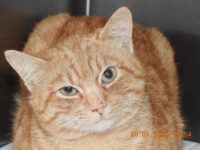 83020855_3439712686101263_5270460639297404928_o