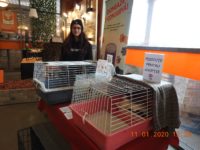 83092474_3412450395494159_3840321956628922368_o