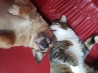 83129519_3421628641243001_6694680474779910144_o