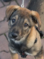 83455418_3459341090805089_2485182078782537728_n