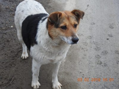 60347689_2748541708551701_2720831523971399680_o