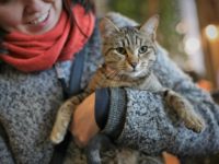 84662216_3468093263263205_543685307111833600_o