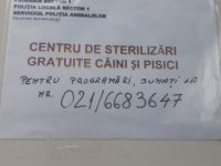 84923937_2416994961738474_7736897457870602240_o