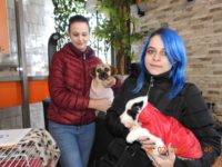 85052727_3496694177069780_1822444646207324160_o