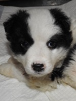 83454872_3457608097645055_6626066774498476032_o