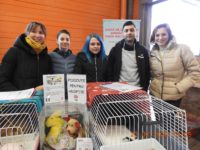 87096068_3537413542997843_1724339660362088448_o